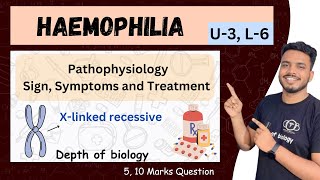 haemophilia  haemophilia pathophysiology  haemophilia depth of biology haemophilia sgsir [upl. by Nessa573]