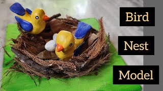 DIY Bird Nest Making For School Project  Bird Nest Model Making  Handmade Home Decor Ideas [upl. by Furie254]