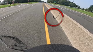 Hero Saves Kitten Running on Busy Long Island Parkway [upl. by Ynttirb310]