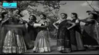 Meri Pyari Patang Chali Baadal Ke Sang  Uma Devi  Shamshad Begum  DILLAGI  Suraiya Amar [upl. by Leakim]