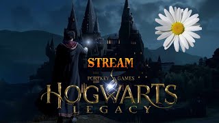 Vydáme se do světa čar a kouzel záznam ze streamu Hogwarts Legacy 01 CZ SK [upl. by Schacker]