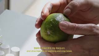 Nonfiction Beauty 논픽션  New Fragrance Citrus Collection Inspiration Behind the Fragrance [upl. by Annodas836]