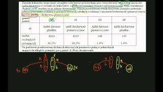 zadanie maturalne  rekombinacja genetyczna [upl. by Dygall]