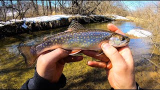 Catching BROWN and BROOK Trout on Spinners [upl. by Garcia]