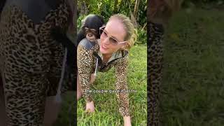 I bought a petand when we reunitedit criedcute animal chimpanzee pets [upl. by Airdnekal130]