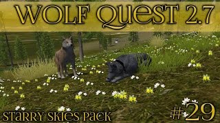 Wolf Quest 272 Update Cougars Birds Elk Ribs amp More 🐺 Wolf Quest 27 🐺 Episode 29 [upl. by Magnum]