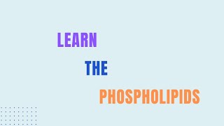 Learn The Phospholipids Biochemistry Microbiology Biotechnology [upl. by Dnalkrik]