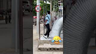 Funny video 😂 😂 😂 2024funny funnyvideos [upl. by Sergu]