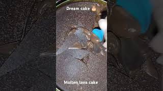 Dream cake 🎂  molten lava cake youtubeshorts minivlog shorts [upl. by Shaffer492]