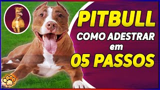 Filhote de PITBULL Como ADESTRAR um filhote de pitbull em 5 passos [upl. by Caroline]