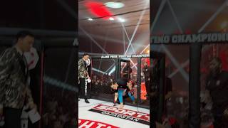 Бой красавиц mma боец ufc бокс бой мма бои нокаут той боевыеискусства [upl. by Januarius]