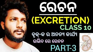 ରେଚନ EXCRETION class 10 life science chapter4 in odia  ଉଦ୍ଭିଦ ରେ ରେଚନ  Part3 [upl. by Westberg]