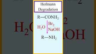 Hofmann degradation or Hofmann rearrangement amide to amine chemistry [upl. by Ttevi]