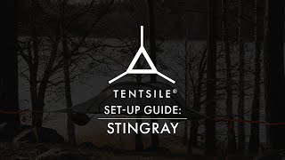 How to setup the Tentsile Stingray 3Person Tree Tent [upl. by Acimehs]