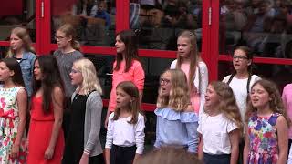 Sommerserenade 2019 des LessingGymnasium Norderstedt LGN [upl. by Bang386]