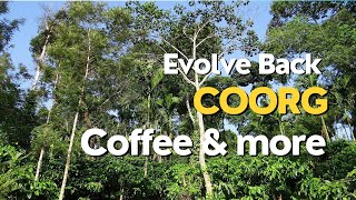 Evolve Back Coorg  Luxury Resort travelvlog coffeelover review karnatakatourism [upl. by Etnomaj133]