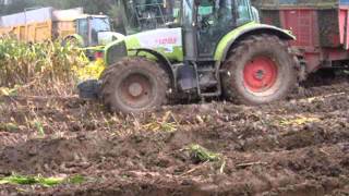 Ensilage difficile chez Laurent dans la manche [upl. by Areit]