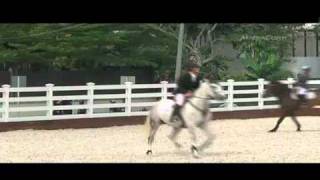 Equestrian National Equestrian Park officially opens in Singapore [upl. by Inez]