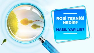 Rosi Tekniği Nedir Tüp Bebek Tedavilerinde ROSİ Yöntemi [upl. by Frederique]