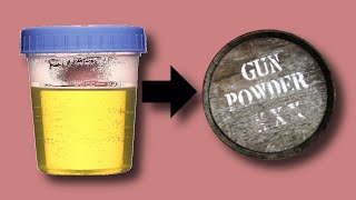 Gunpowder was made from Womens Urine Pee during the Civil War  Saltpeter or Potassium Nitrate [upl. by Yrrab]