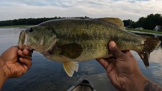 Whopper Plopper Catching Huge Bass [upl. by Odnomar]