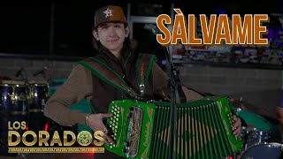 Los Dorados  Sálvame En Vivo [upl. by Aseuqram]