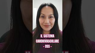 IL SISTEMA CARDIOVASCOLARE  OSS Online oss corsooss sistemacardiovascular viralshorts [upl. by Zola555]