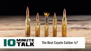 10MinuteTalk  The Best Coyote Caliber Is [upl. by Hajar]