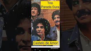 Castelo de Amor  TRIO PARADA DURA [upl. by Mulligan]