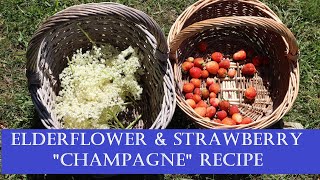 Elderflower amp Strawberry Champagne Style Sparkling Wine Easy Homebrew [upl. by Dinin]