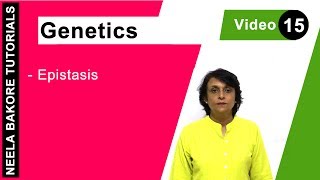 Genetics  Principles of Inheritance amp Variations  NEET  Epistasis  Neela Bakore Tutorials [upl. by Dragone]