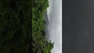 Dudhsagar Waterfall 😍 Goa by train goa dudhsagar dudhsagarwaterfalls safarwithsurya goatrip [upl. by Liesa]