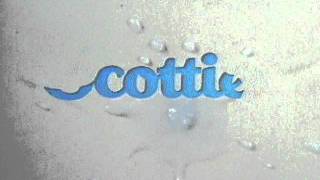 Scotties TV Commercial 1980sTV Commercial [upl. by Otto811]