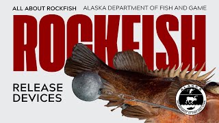 Rockfish Release Devices [upl. by Nosle]