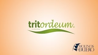 Tritordeum [upl. by Samara]