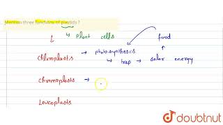 Mention threefunctions of plastids   CLASS 8  CELLSTRUCTURE AND FUNCTIONS  BIOLOGY  Doubtn [upl. by Ahders]