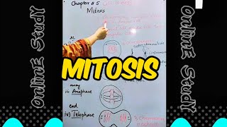 quotUnderstanding Mitosis Cell Division Explained with Diagrams MitosisExplained BiologyLecture [upl. by Adnaval]