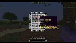 Hypixel Skyblock Stranded On continue [upl. by Eecak]