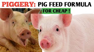 How To Make Your Own PIG FEED Formula Best Quality Feeds For Less  Healthy PIGS [upl. by Aerdnua623]