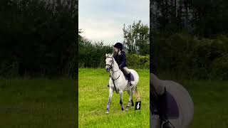 Pony club bestpony horse britishridingpony learning newbit horselover love [upl. by Tilda]