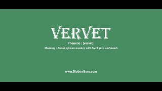 vervet Pronounce vervet with Meaning Phonetic Synonyms and Sentence Examples [upl. by Foah]