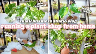 Running a Plant Store From Home Vlog🪴Unboxing New Plant Shipment Website Restock Shipping Plants [upl. by Ynnav451]