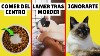 10 EXTRAÑOS comportamientos de los gatos EXPLICADOS [upl. by Abigail193]