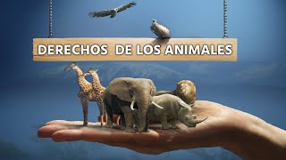 Declaración Universal de los Derechos de los Animales [upl. by Notsnhoj50]