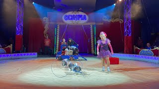 Cirkus Olympia  Henrika Bengtsson  Hund Akt  Älmhult  2024 [upl. by Dehlia410]