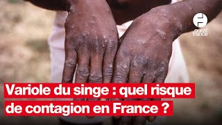 Variole du singe  quel risque de voir le nouveau variant du Mpox arriver en France [upl. by Anelrahs646]