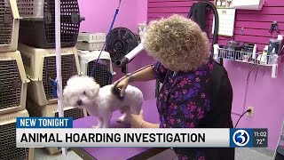 Animal hoarding investigation in Wallingford [upl. by Cave]