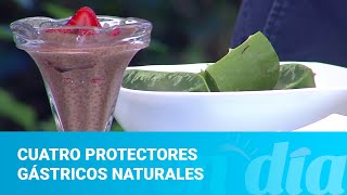 Cuatro protectores gástricos naturales para aliviar ardor en estómago [upl. by Enorel]