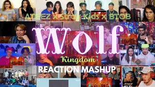 ATEEZ X Stray Kids X BTOB MAYFLY  WOLF Kingdom Performance REACTION MASHUP [upl. by Anurb941]