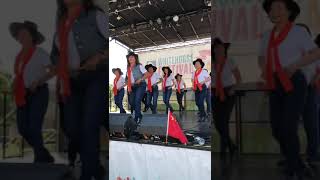 Coca Cola Cowboy line dance [upl. by Minsat]